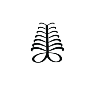 AYA – The Symbol of Endurance, Resilience, and Independence - Adinkra Art